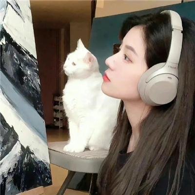狂乱世道